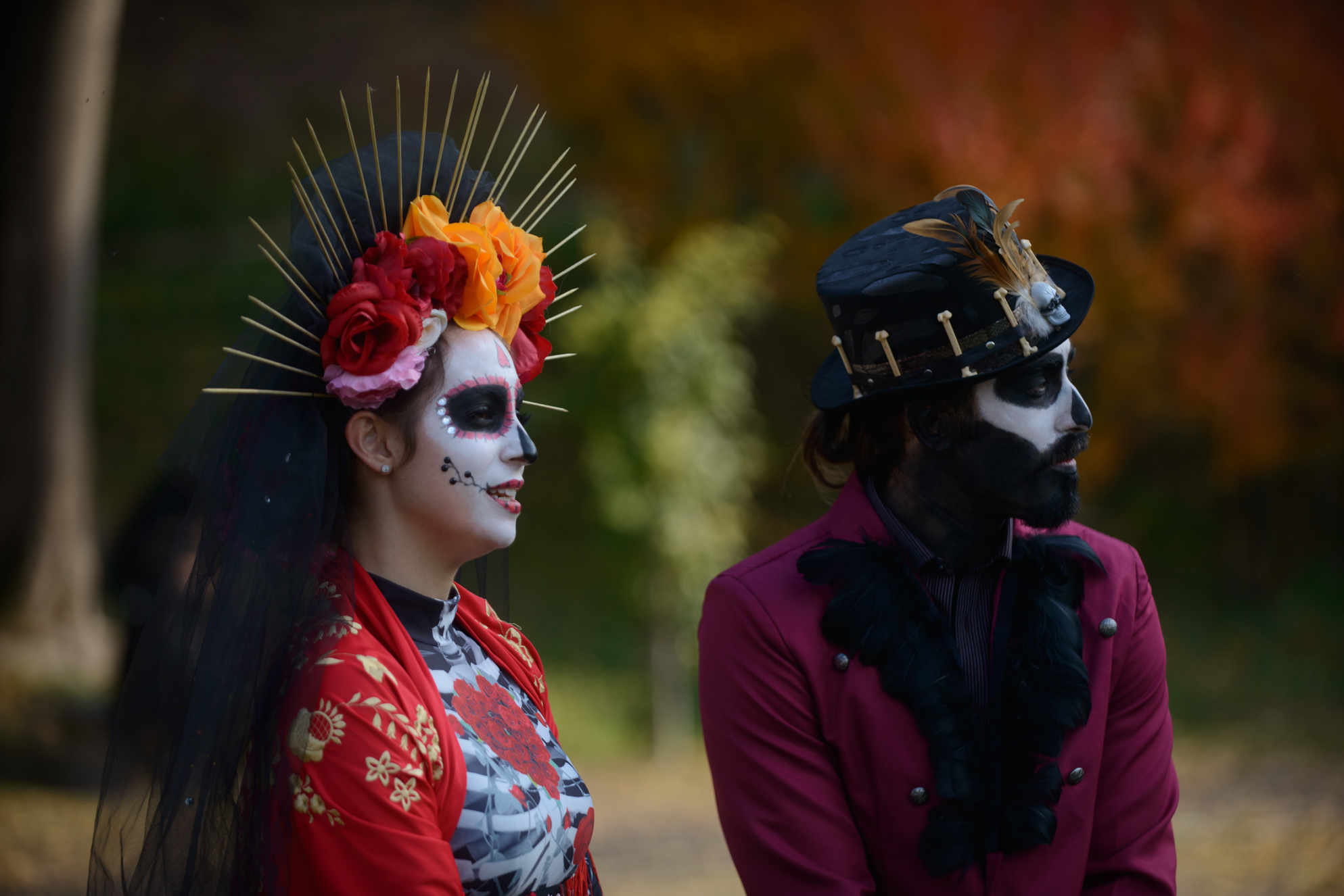Valeggio sul Mincio: Großes Saisonfinale im Gartenpark Sigurtà Halloween im Parco Sigurtà