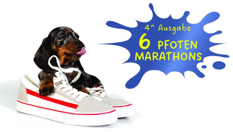 Riva del Garda: am 26. April das 4.⁠ ⁠Lions Sechs-Pfoten-Marathon im Parco della Rocca