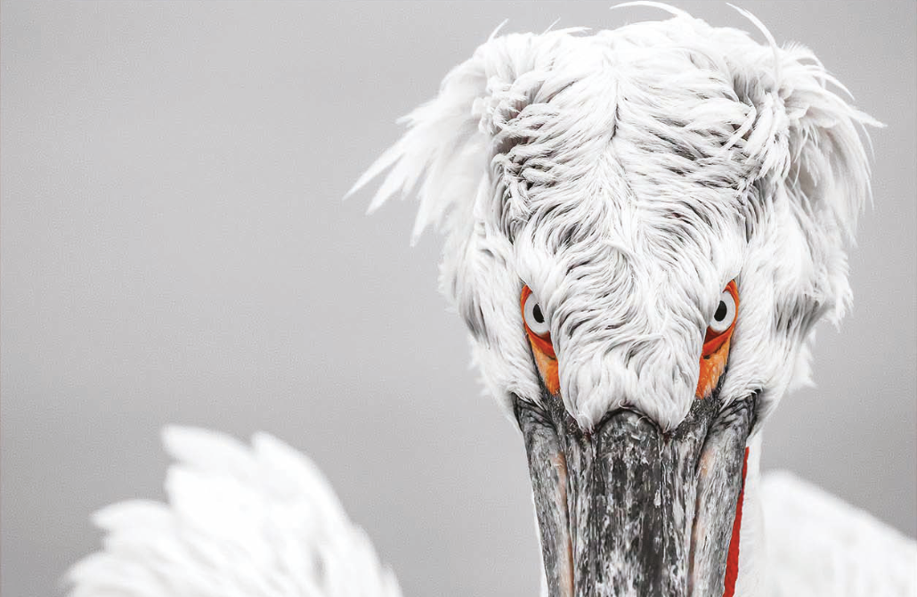 Garda: Neue Foto-Ausstellung von Milko Marchetti im Palazzo Pincini Carlotti